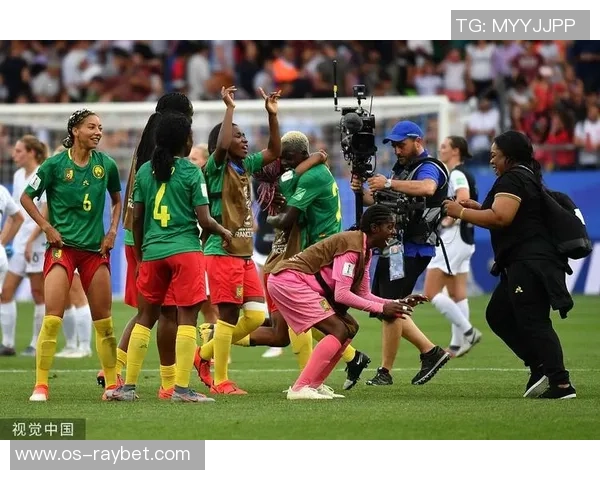 喀麦隆与智利比赛结果分析及数据统计详解