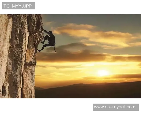 攀登人生巅峰：陈伟与深度对话中的攀岩哲学与人生启示